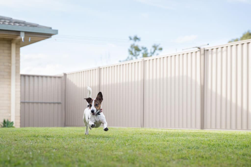 neatly fenced yard