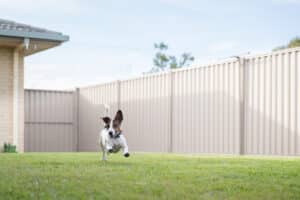 neatly fenced yard